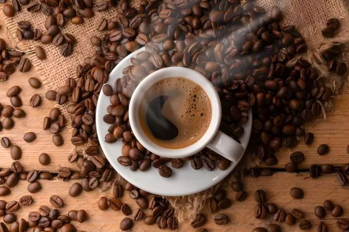 Café en grains fraîchement torréfié Laval